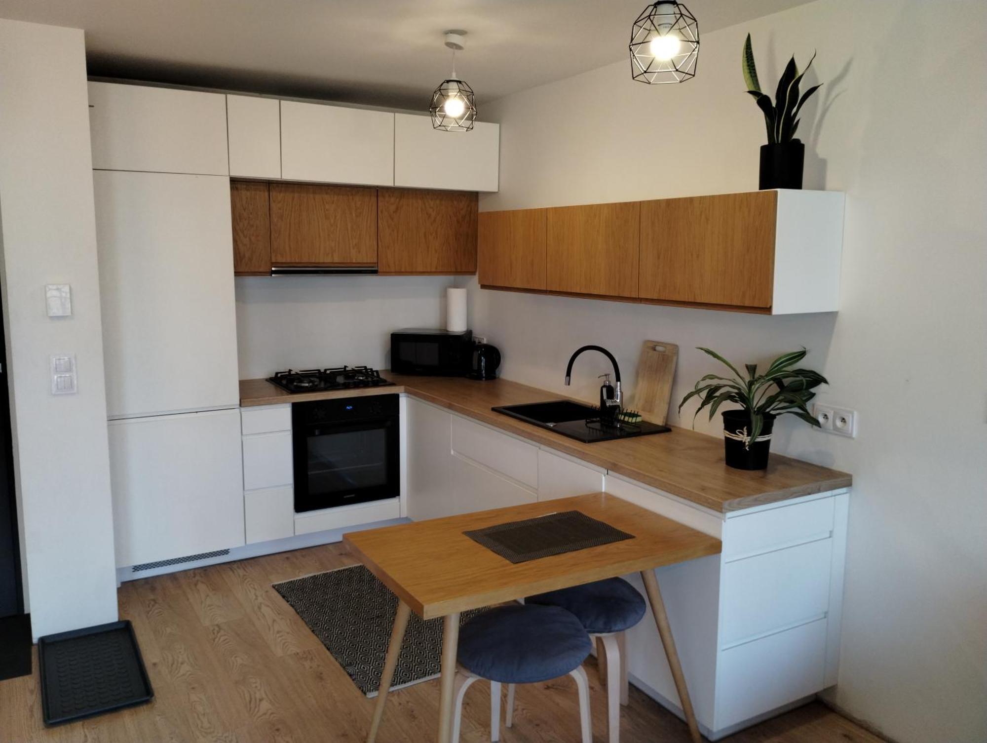 Park Slaski M.10 Katowice/chorzow Apartment Chorzow